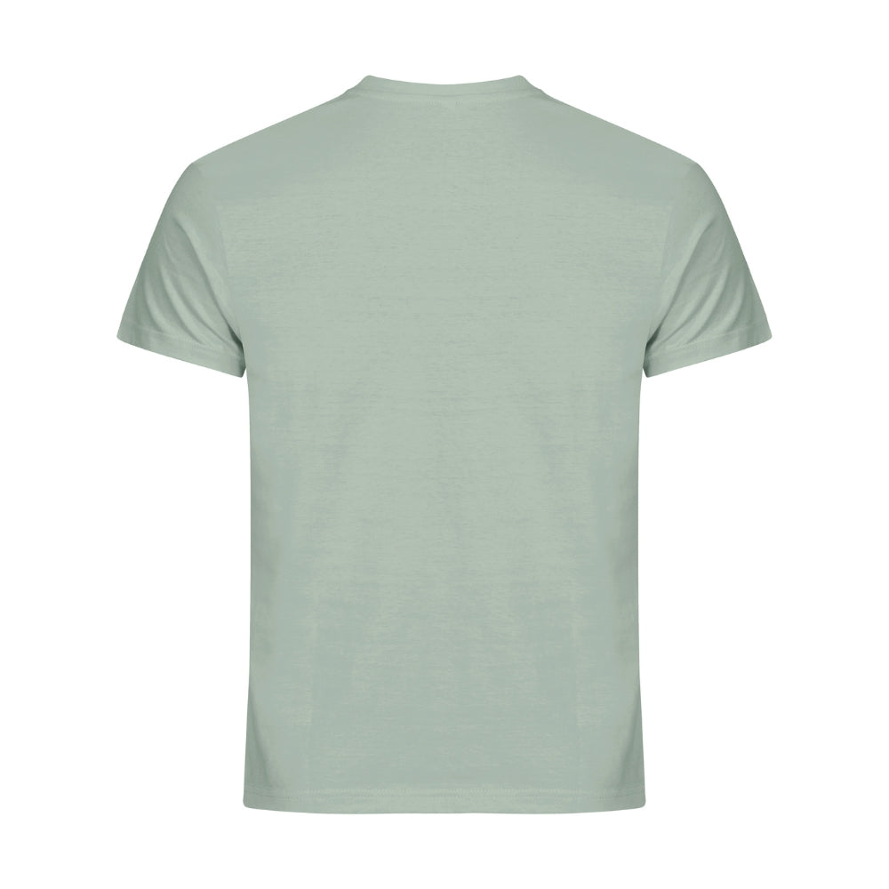 basictpaitasagegreen1_12379.jpg