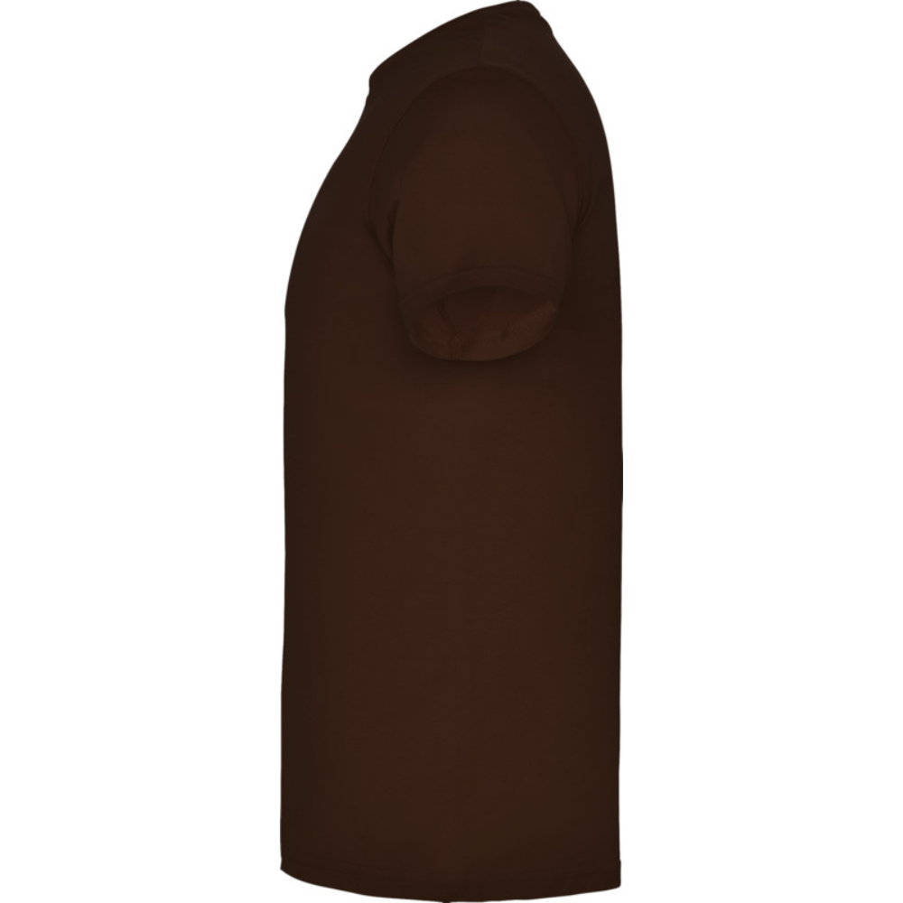 beaglemiestentpaitachocolat3_5391.png