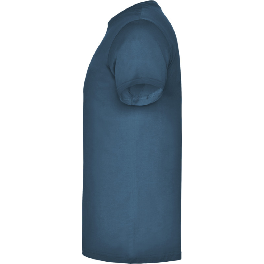 beaglemiestentpaitamoonlightblue3_5381.png