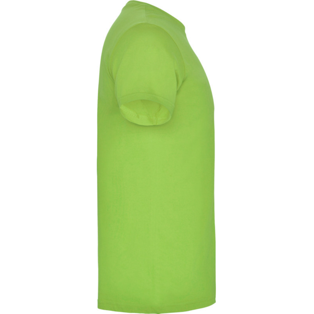 beaglemiestentpaitaoasisgreen4_5302.png