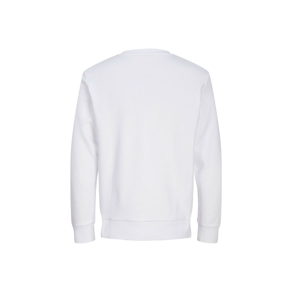 jackjonesbasiccollegepaitawhite1_10134.jpg