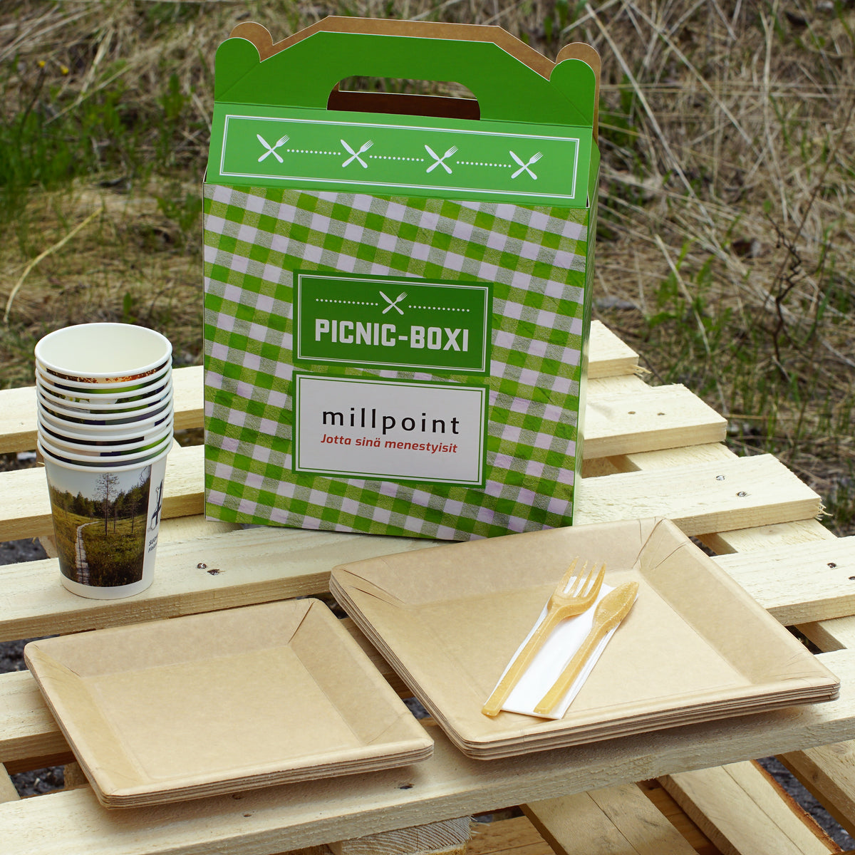 picnicboxi_3566.jpg