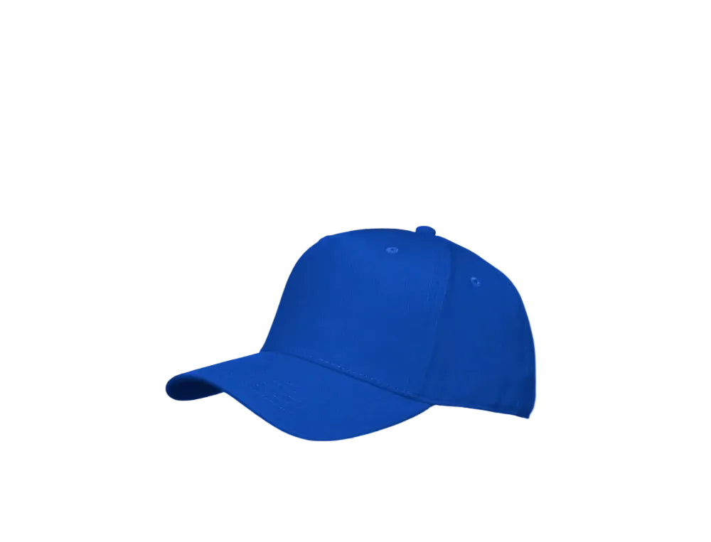 playerlippalakkiroyal_13213.jpg