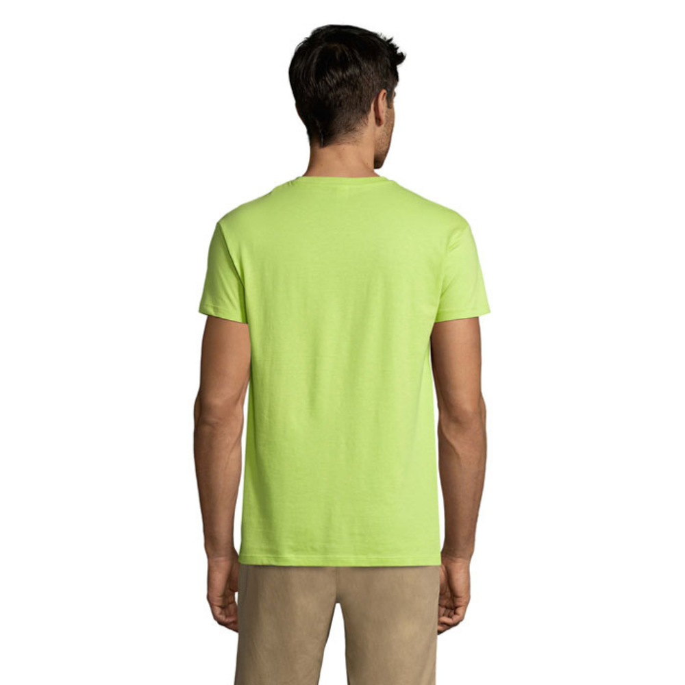 solsregenttpaitaapplegreen2_6007.png