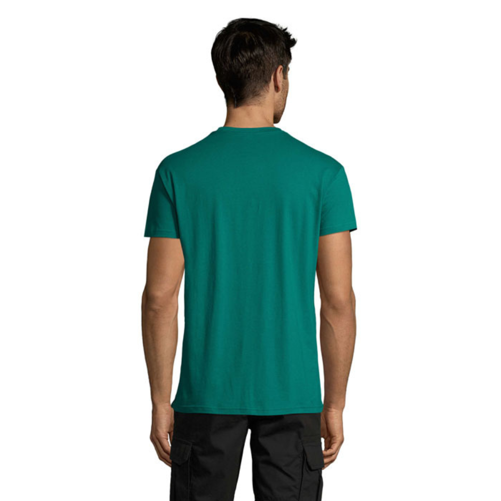 solsregenttpaitaemerald2_6019.png