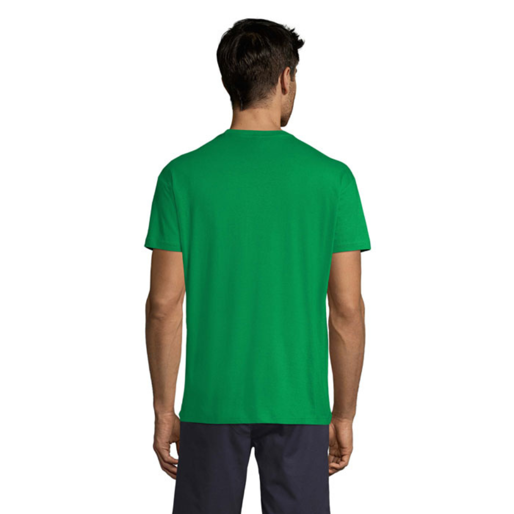 solsregenttpaitakellygreen2_6010.png
