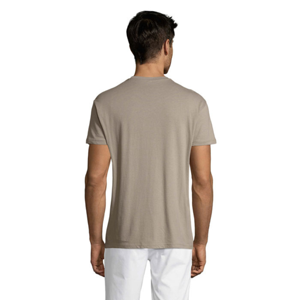 solsregenttpaitalightgrey2_6064.png
