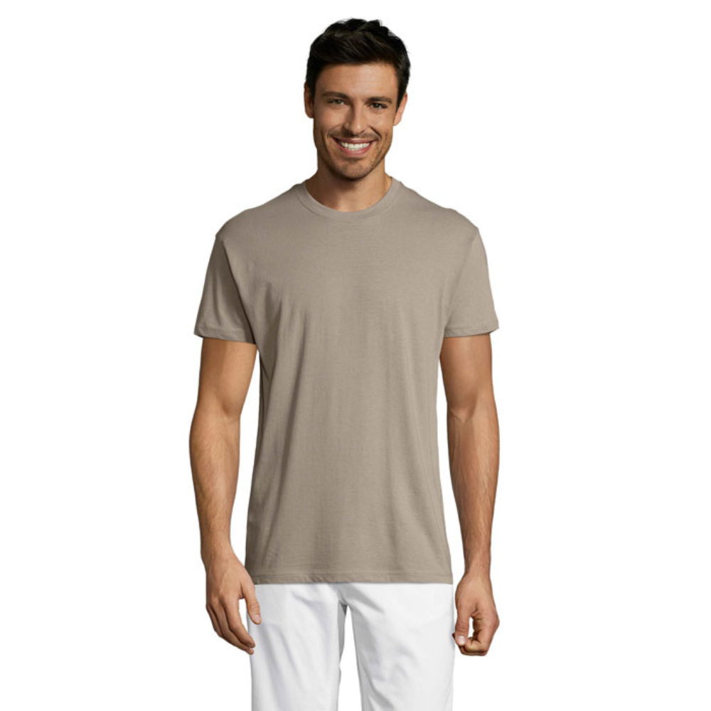 solsregenttpaitalightgrey_6062.png
