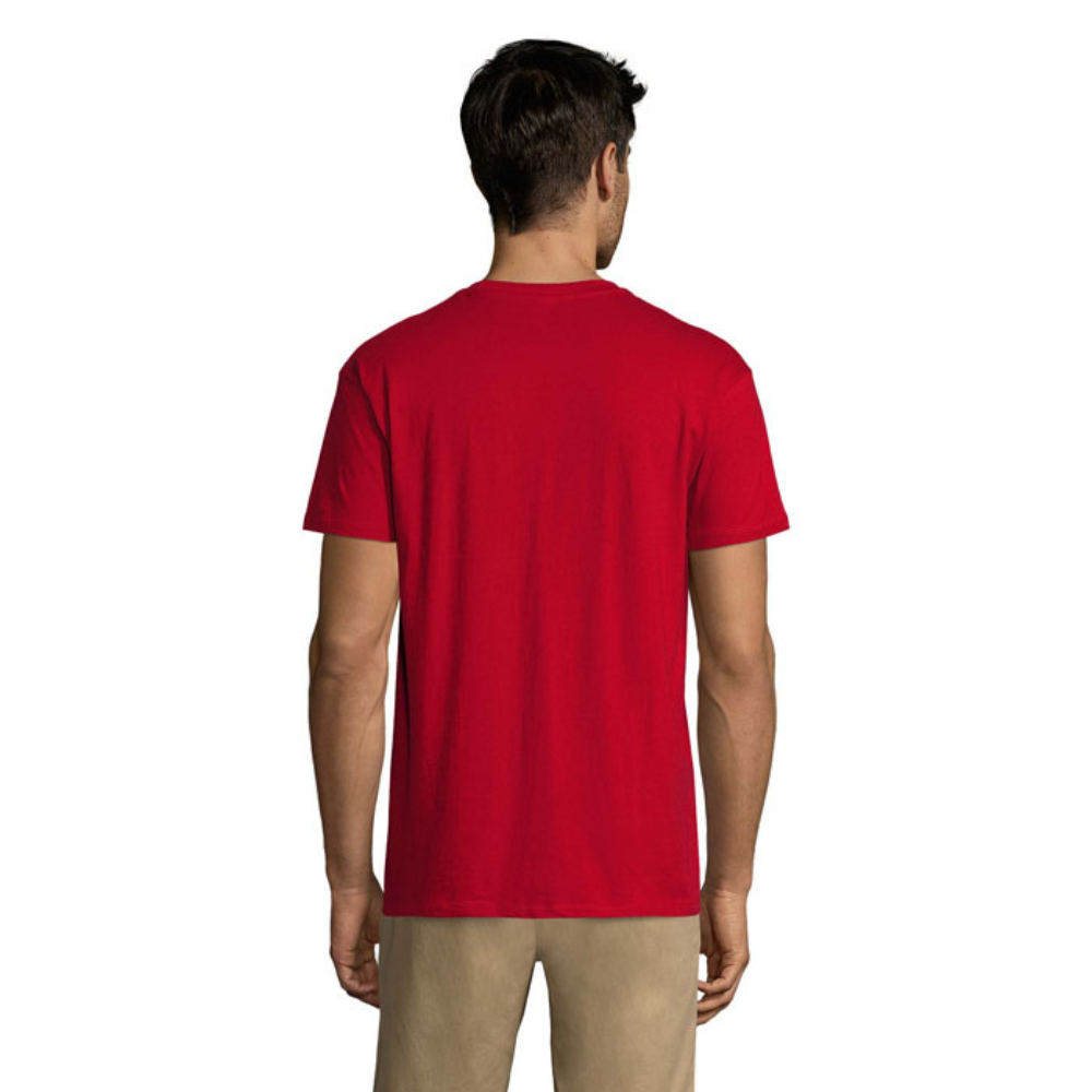 solsregenttpaitatangored2_5959.png