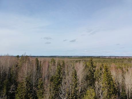 Helatorstaina toimisto suljettu