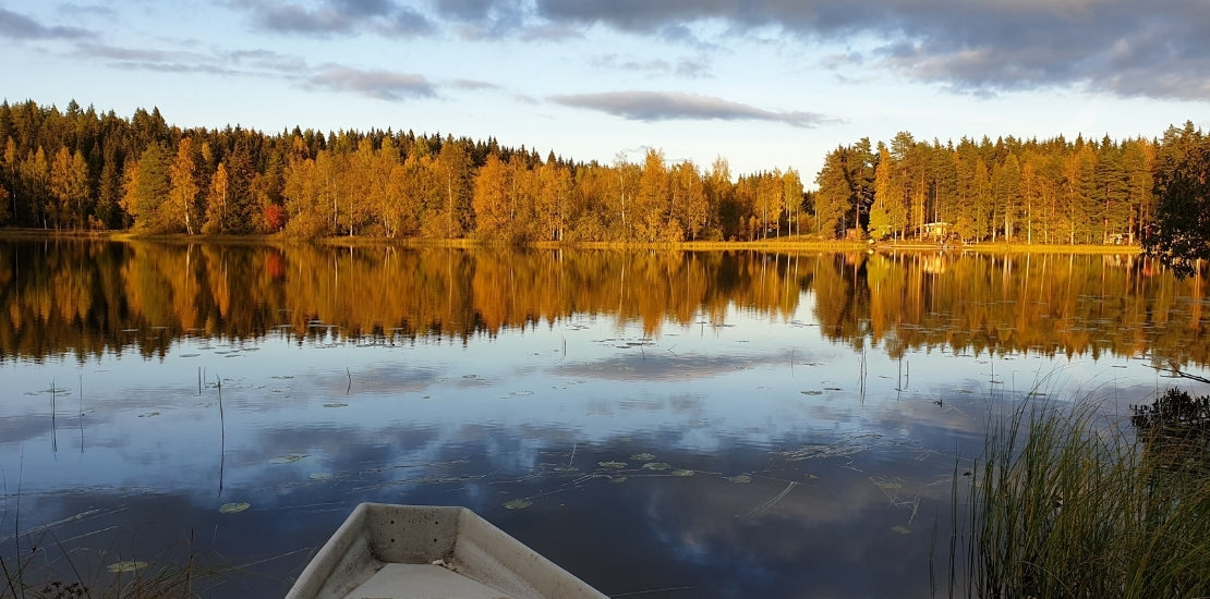 Millpointin kesämuistio