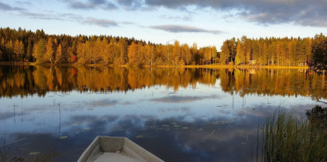 Millpointin kesämuistio
