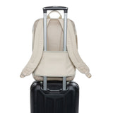 armondrpet156deluxetietokonereppubeige5_10342.jpg
