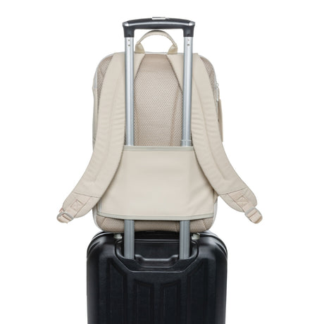 armondrpet156deluxetietokonereppubeige5_10342.jpg