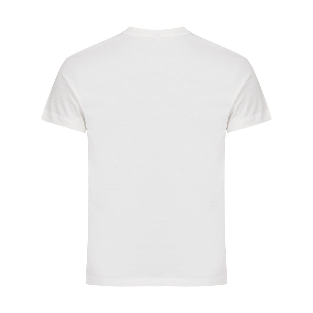 basictpaitaoffwhite1_12310.jpg