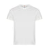 basictpaitaoffwhite_12309.jpg
