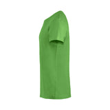 basictpaitaomenanvihre2_12376.jpg