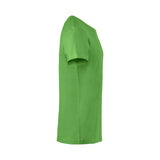 basictpaitaomenanvihre3_12377.jpg
