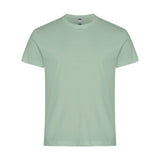 basictpaitasagegreen_12378.jpg
