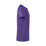 basictpaitastrongpurple3_12341.jpg