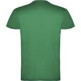 beaglemiestentpaitakellygreen1_5304.png