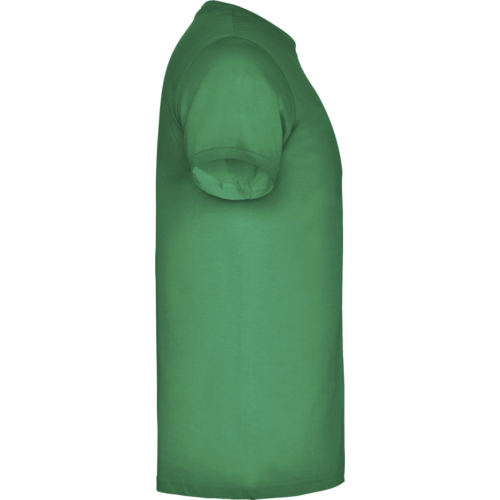 beaglemiestentpaitakellygreen4_5307.png