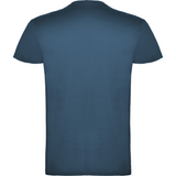 beaglemiestentpaitamoonlightblue1_5379.png