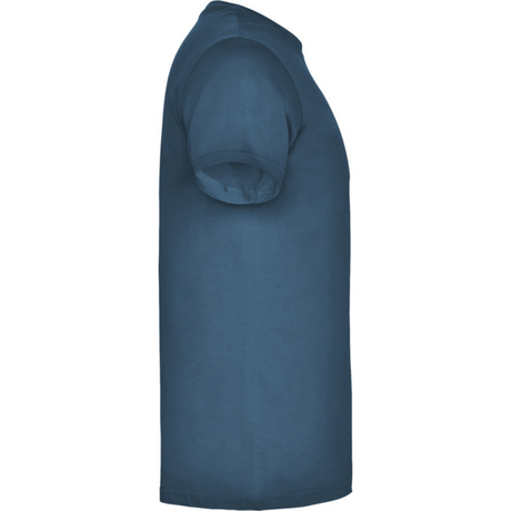 beaglemiestentpaitamoonlightblue4_5382.png