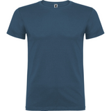 beaglemiestentpaitamoonlightblue_5378.png
