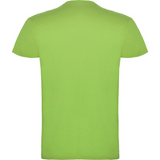 beaglemiestentpaitaoasisgreen1_5299.png