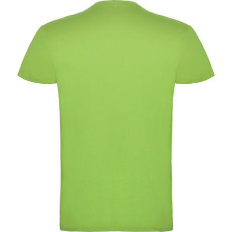 beaglemiestentpaitaoasisgreen1_5299.png