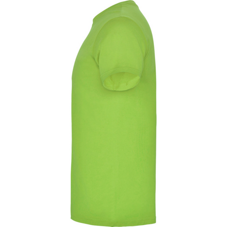 beaglemiestentpaitaoasisgreen3_5301.png