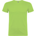 beaglemiestentpaitaoasisgreen_5298.png