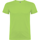 beaglemiestentpaitaoasisgreen_5298.png