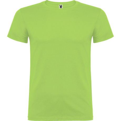 beaglemiestentpaitaoasisgreen_5298.png