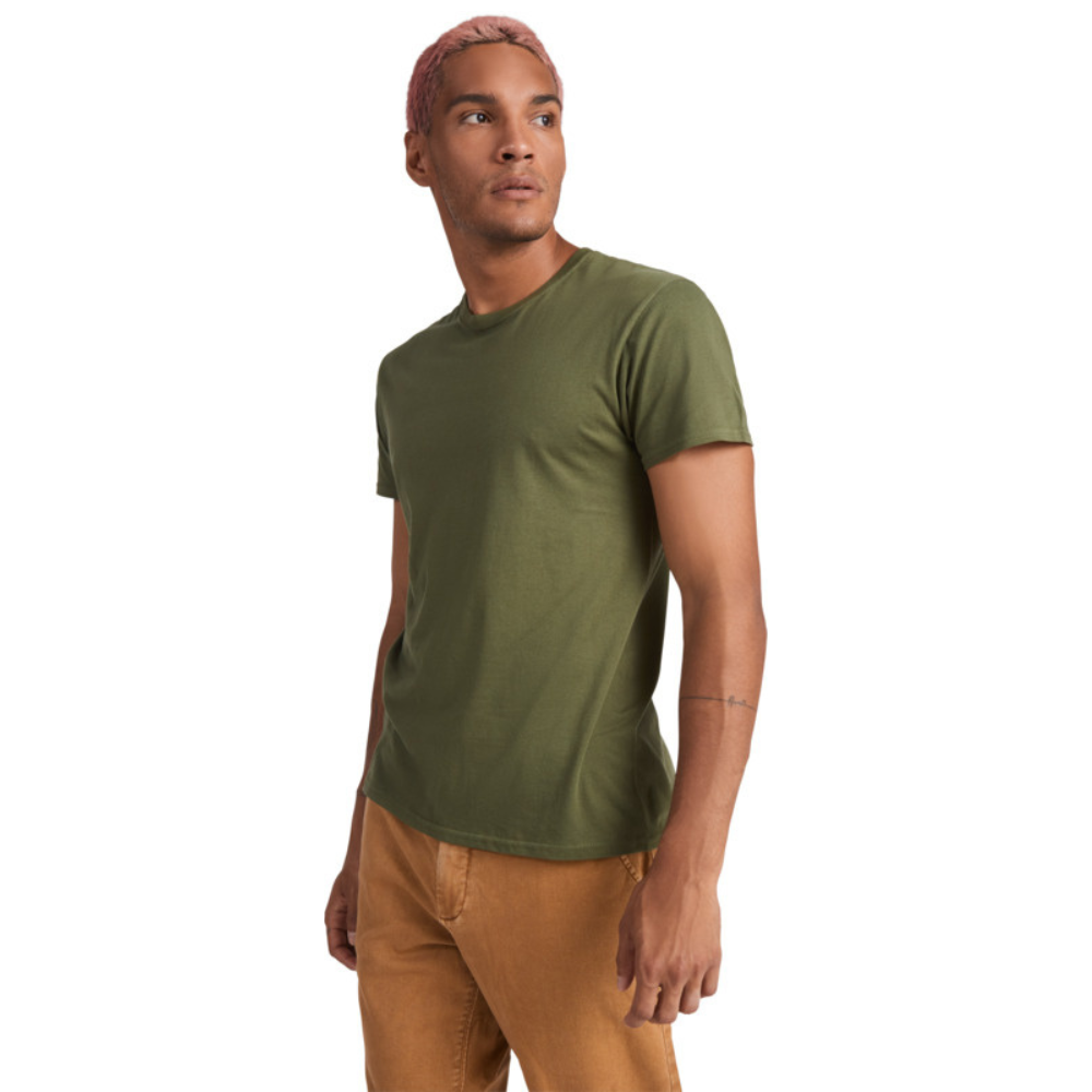 beaglemiestentpaitaventuregreen_5292.png