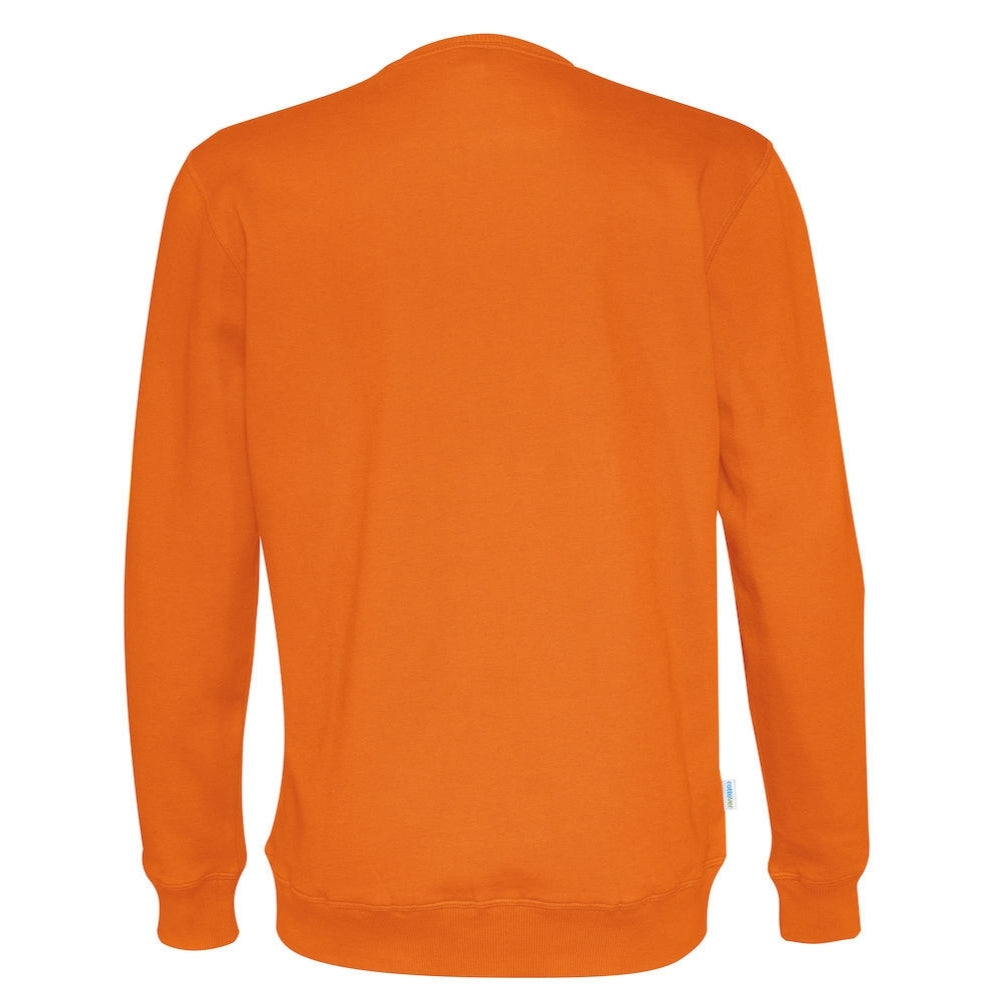 cottovercollegepaitaoranssi2_3198.jpg