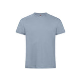 newclassictmsoftblue_12955.jpg