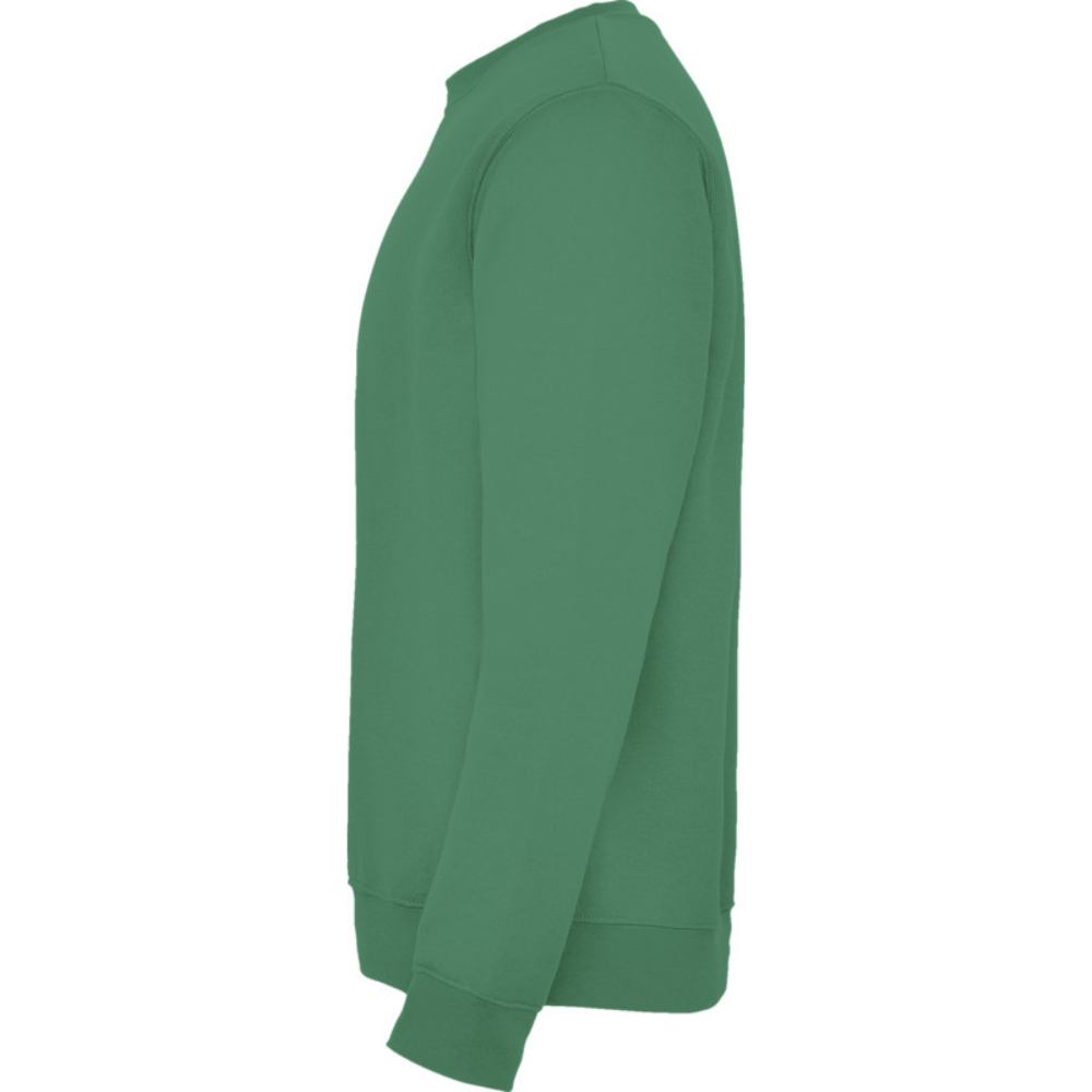 rolycollegepaitakellygreen1_5226.png