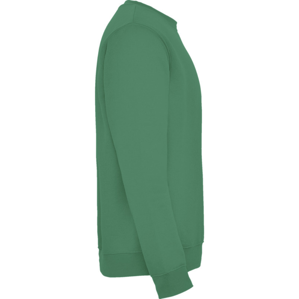 rolycollegepaitakellygreen2_5227.png