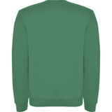 rolycollegepaitakellygreen_5225.png