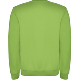 rolycollegepaitaoasisgreen2_5230.png