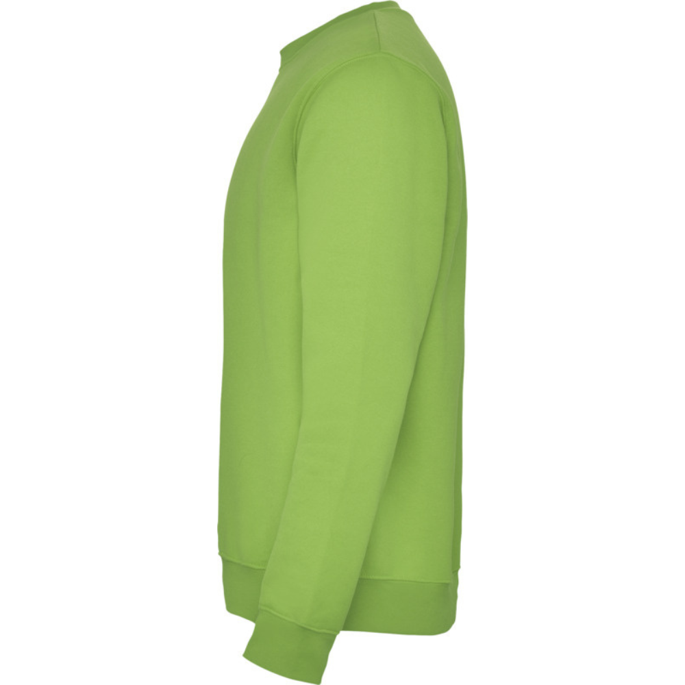 rolycollegepaitaoasisgreen3_5231.png