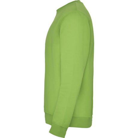 rolycollegepaitaoasisgreen3_5231.png