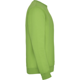 rolycollegepaitaoasisgreen4_5232.png