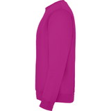 rolycollegepaitarossette3_5211.png
