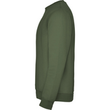 rolycollegepaitaventuregreen3_5221.png