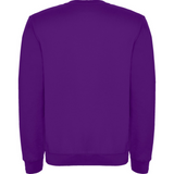 rolycollegepaitavioletti2_5154.png