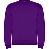 rolycollegepaitavioletti_5152.png