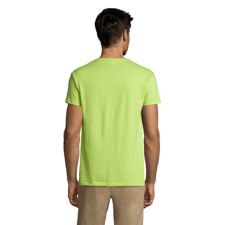 solsregenttpaitaapplegreen2_6007.png